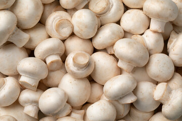 Heap of fresh champignons, Button mushrooms, close up full frame