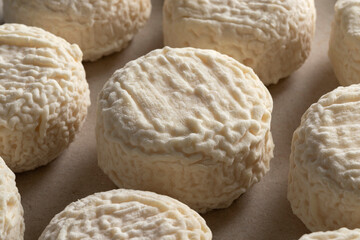 Group of French Crottin de chevre, goat cheese, close up - obrazy, fototapety, plakaty