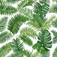 Tropical Leaf Collection: Assortment of Exotic Palm and Coconut Leaves on a White Background