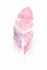 illustration of pink feather on white background