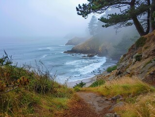 Mystic coastal fog at dawn, a hidden cove's quiet beauty revealed, nature's silence speaking volumes