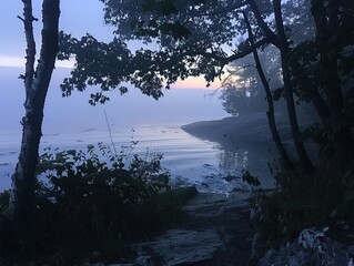 Mystic coastal fog at dawn, a hidden cove's quiet beauty revealed, nature's silence speaking volumes