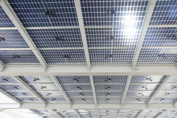 Semi-transparent photovoltaic modules shade a parking lot