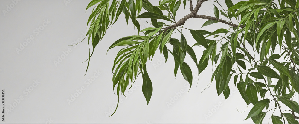 Poster generative ai technology creates a realistic plant with green leaves and a twisted tree branch on an