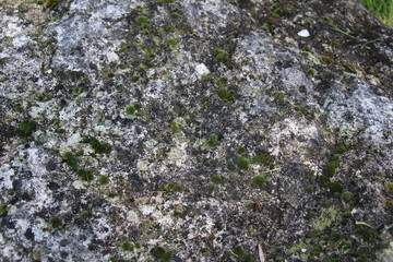 texture pebbles