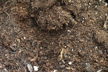 Soil texture background