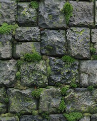Green moss growing on the stone wall.