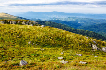 mountainous landscape with boulders on the grassy rolling hills in morning light. nature scenery of carpathians. mnt. runa also called smooth mountain located in transcarpathia, ukraine