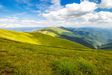 mountainous rolling landscape in summer. alpine meadows of borzhava ridge of ukrainian carpathian...