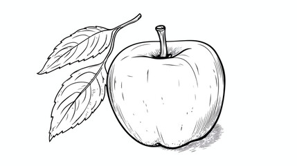 Apple with leaf vector illustration in sketch style