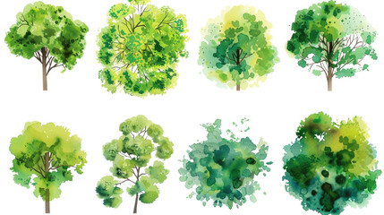 Fototapeta premium Set of abstract watercolor green tree top view, isolated on transparent background