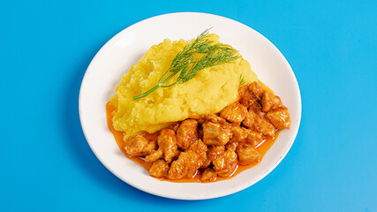 Chicken goulash with mashed potatoes on plate