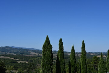 Paesaggio con cipressi nella valle della abbazia di San Galgano a Chiusino (Siena).