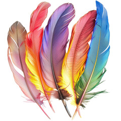 Brightly colored feathers, with a transparent background