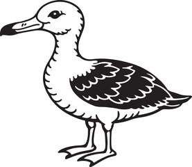 Black and White Cartoon Illustration of Seagull Bird for Coloring Book