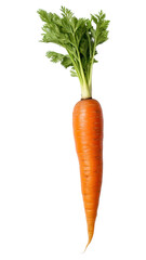 PNG Vegetable carrot plant food.