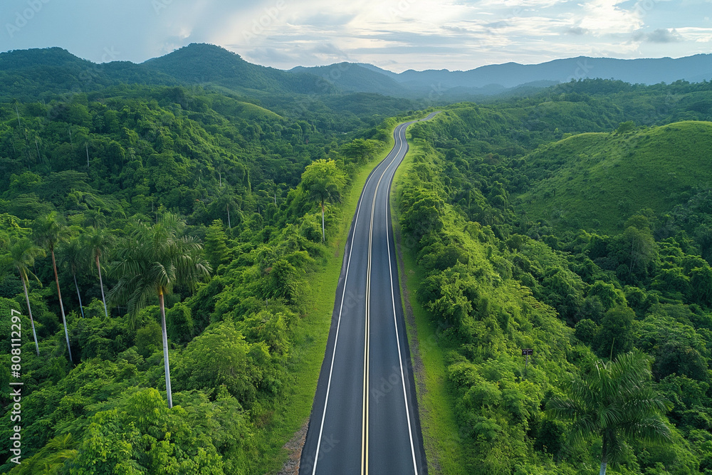 Wall mural aerial view of asphalt road in the middle of green forest