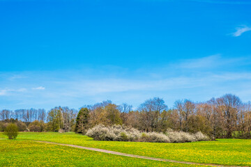 Landscape near Neu-Bamberg in Rhineland-Palatinate in spring