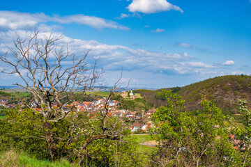 Landscape near Neu-Bamberg in Rhineland-Palatinate in spring