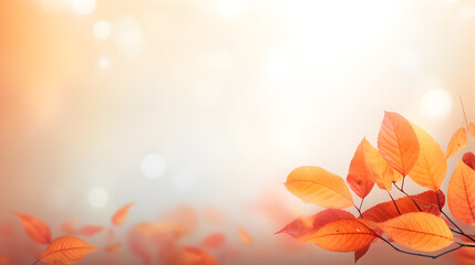 Autumn leaves background,maple leaves