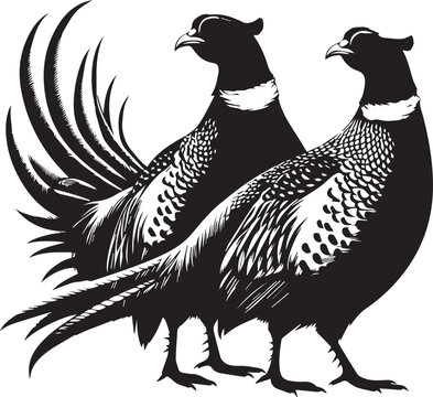 recommend clip art: Pheasant silhouette. Pheasant logo. Pheasant vector design black and white. Pheasant flying silhouette. 