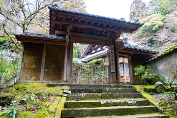 古い日本の寺院入口と苔むした階段