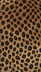 close up of leopard fur, seamless texture, generative ai