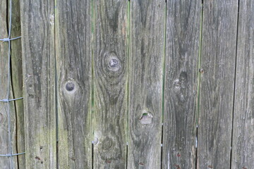 old wood texture