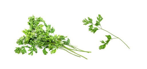 Fototapeta premium Dry Parsley Leaves Isolated