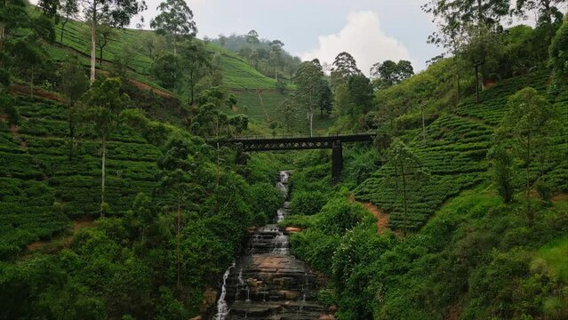 Drone flight over iconic Nanu Oya viaduct surrounded by tea plantations, cascading waterfalls in Sri Lanka. Outdoor enthusiasts, train travelers cross dramatic landscape, discover green highlands.