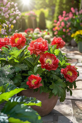 Obraz premium flowers in a garden