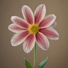 Fototapeta premium a pink flower with a yellow center in a vase