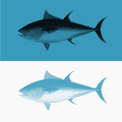 tuna fish with halftone concept