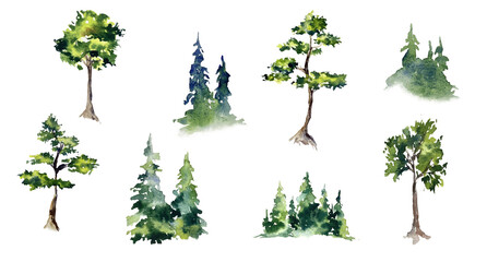 Obraz premium Trees collection set. Green plants with leaves, garden botanical watercolor hand painted realistic ecological elements clipart