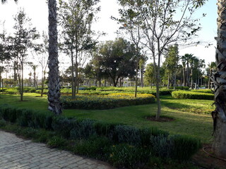 Hassan II Park in Rabat is a wonderful place to enjoy nature and tranquility, with its vast green spaces, artificial lakes, and places to rest and sit