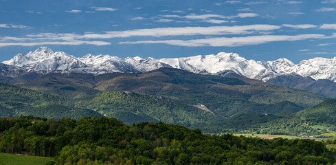 Naklejka premium Landscape of southwestern France in spring with the Pyrenees mountains in the background
