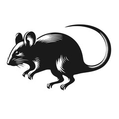 Rat vector silhouette isolated on white background