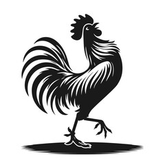 Beautiful dancing rooster vector silhouette isolated on white background