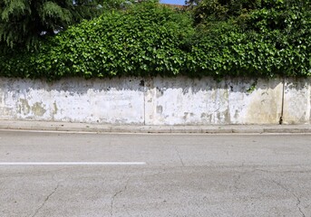 Weathered white plaster surrounding wall with large hedge on top. Concrete sidewalk and street in...