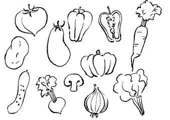 シンプルな野菜線画イラスト