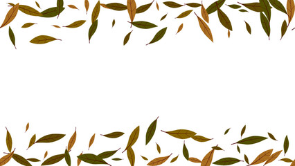 Frame background autumn seasonal with leaf orange and brown color flying isolated element