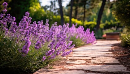 A path made of stones is flanked by blooming lavender flowers in a garden setting