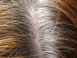 Preparation for Dyeing Gray Hair with Henna: Natural Care and Beauty