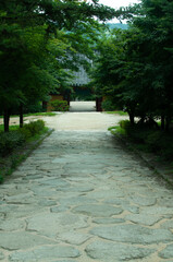 path in the garden