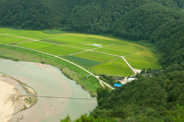 view of the river countryside