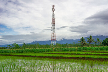 beautiful morning view from Indonesia of mountains and tropical forest