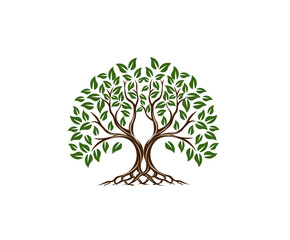 Obraz premium Vector illustration of a cartoon tree with roots 