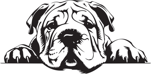 black and white illustration of a shar pei dog