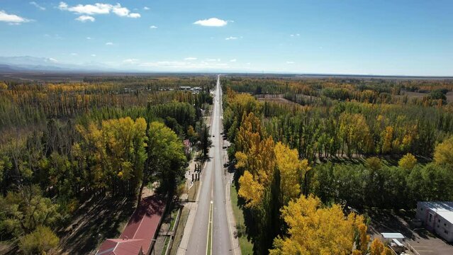 Aerial video of the City of Malarg&uuml;e, Mendoza, Argentina.