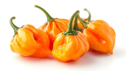Close up of fresh Habaneros on a white Background